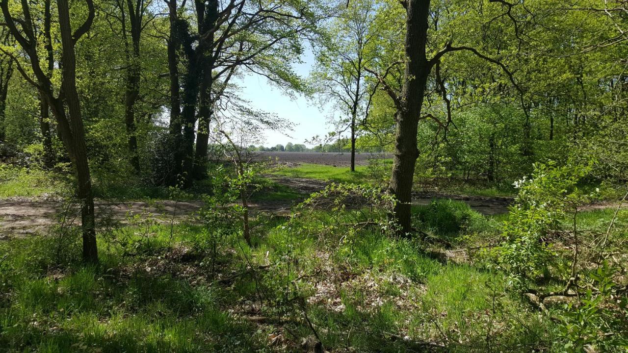 Chalet Drenthe Villa Schoonloo Eksteriør bilde