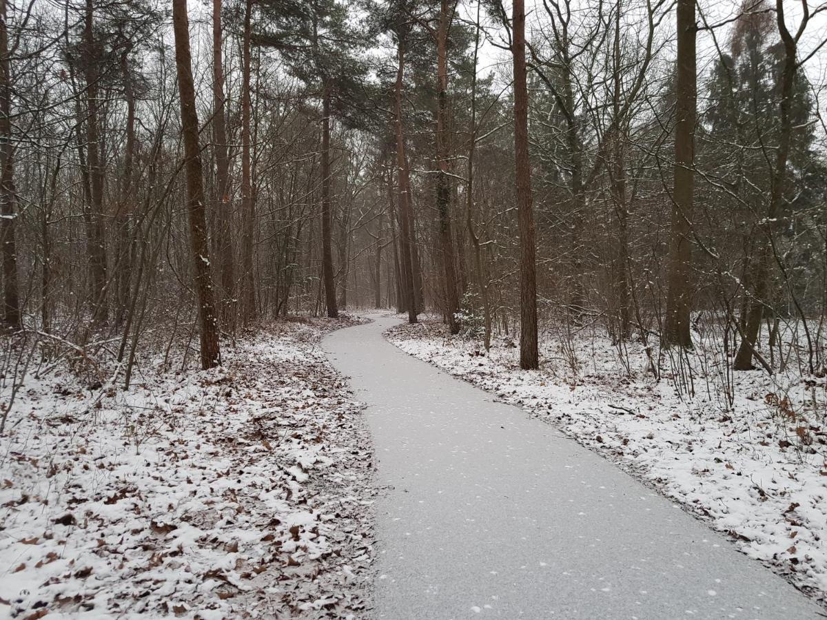 Chalet Drenthe Villa Schoonloo Eksteriør bilde